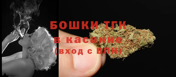 стафф Арсеньев