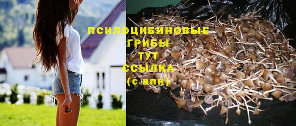 гидропоника Аркадак